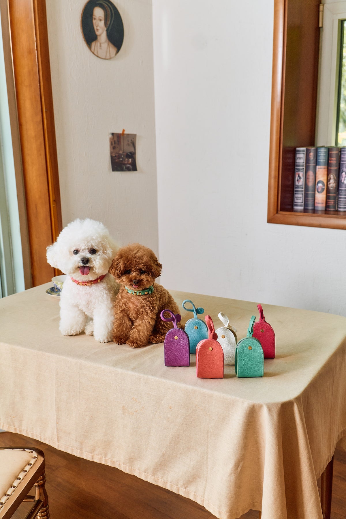 Trevi Poop Bag Pouch