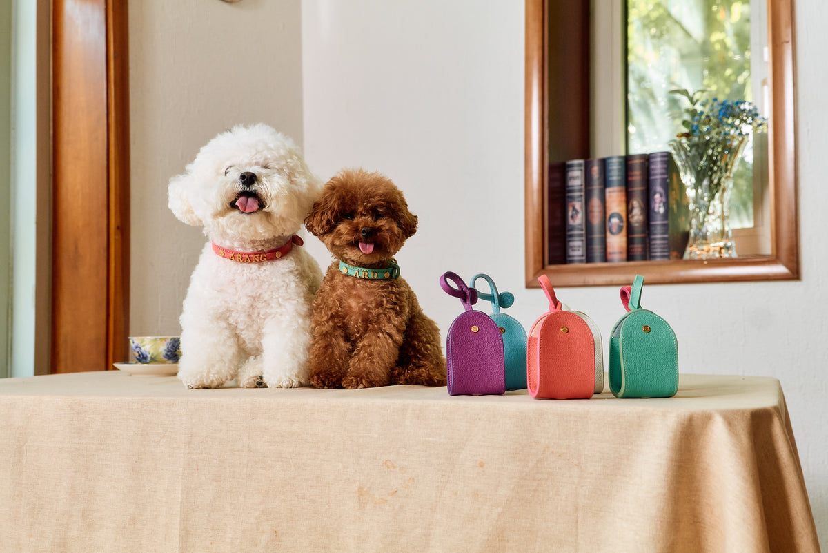 Trevi Poop Bag Pouch