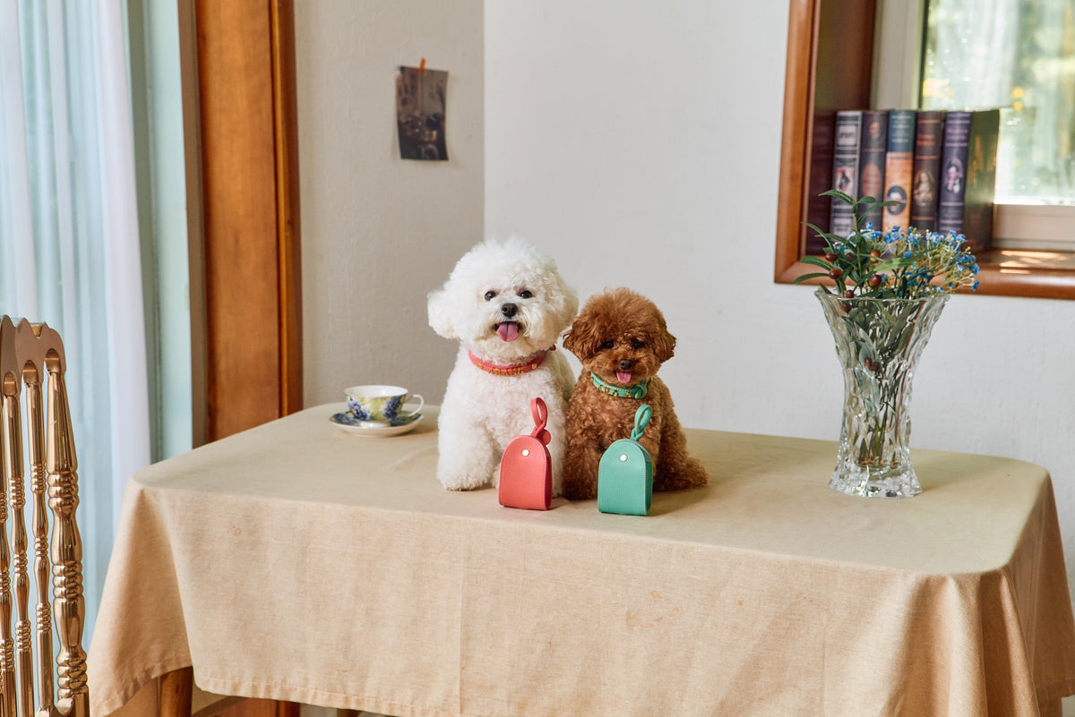 Trevi Poop Bag Pouch