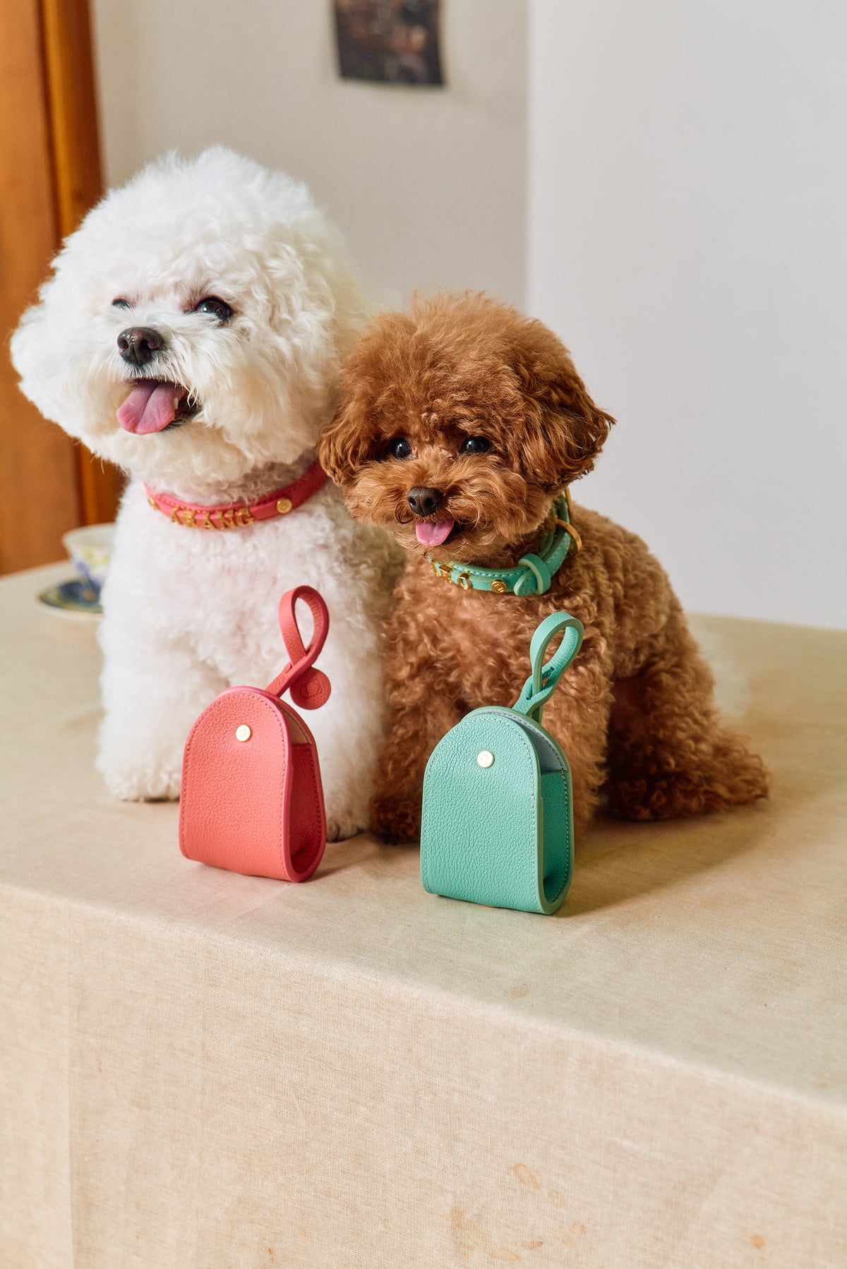 Trevi Poop Bag Pouch