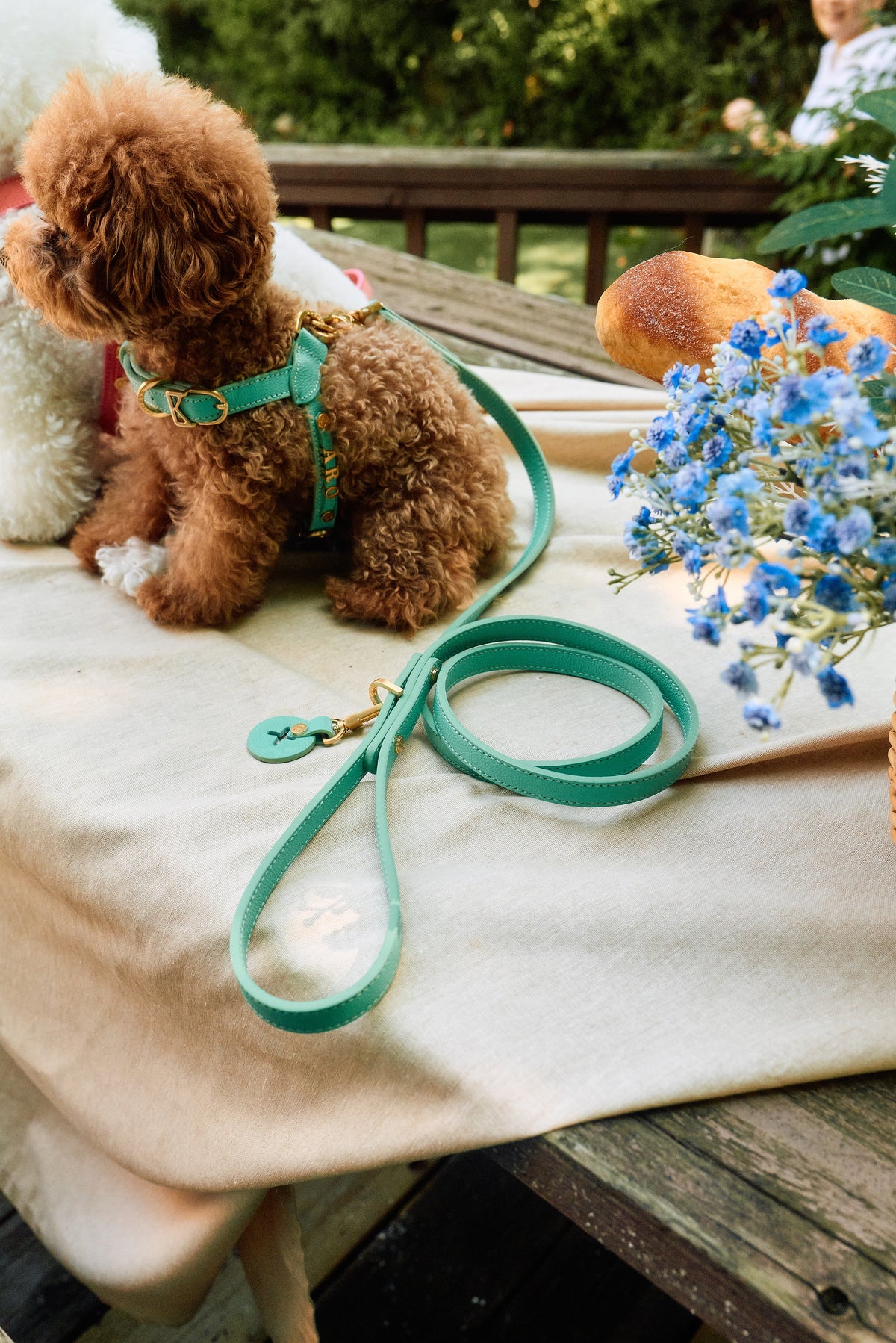Trevi Leash