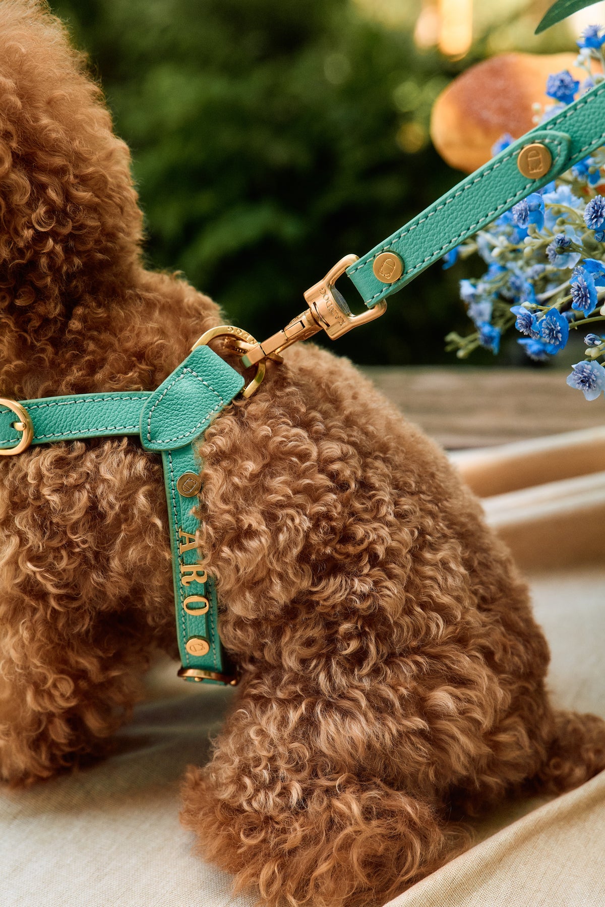 Trevi Harness