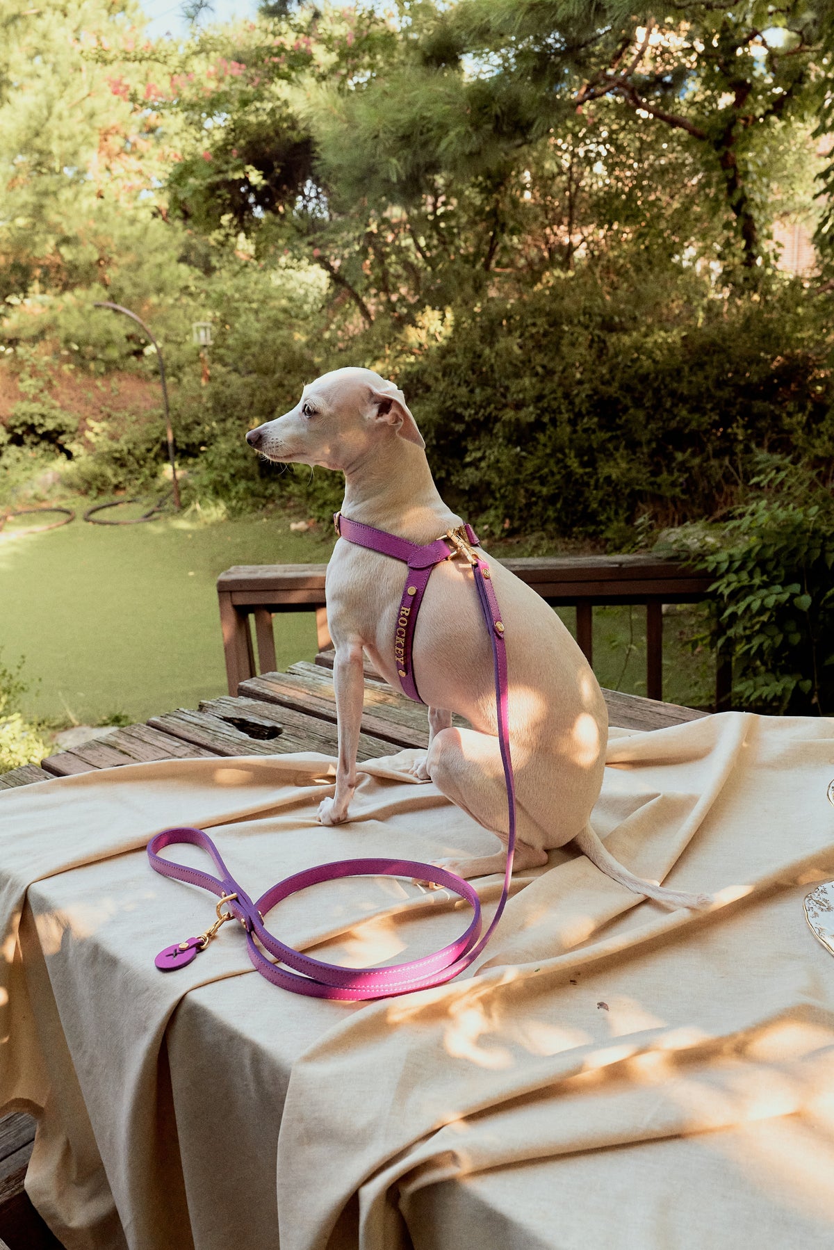Trevi Leash