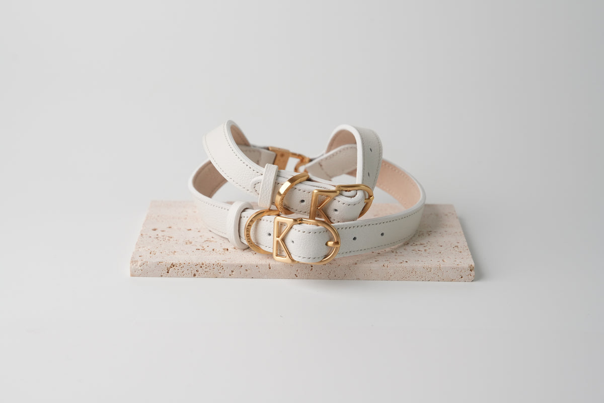 Trevi Harness