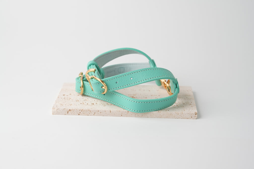 Trevi Harness