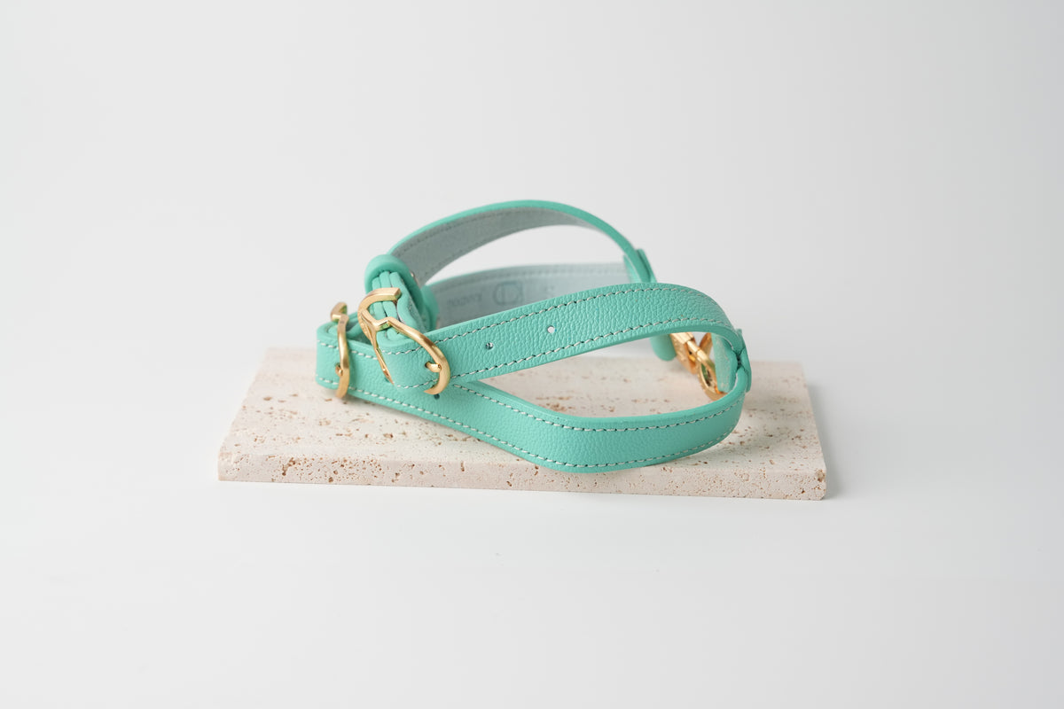 Trevi Harness