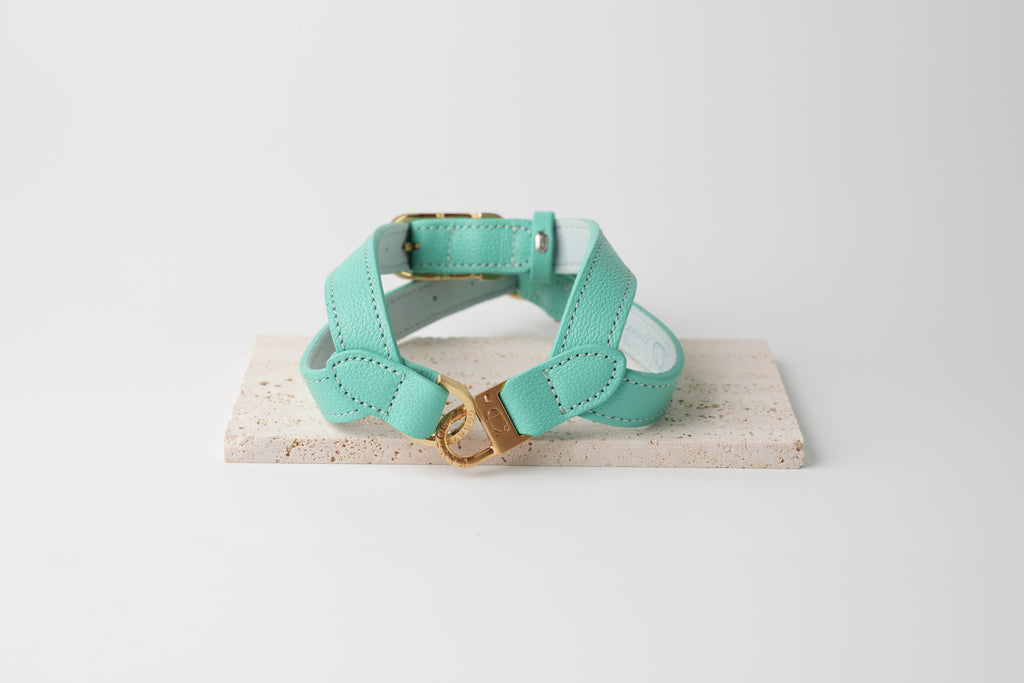 Trevi Harness