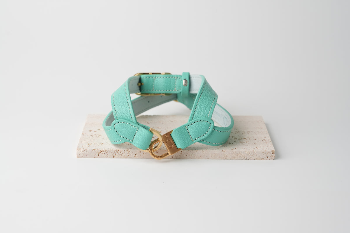 Trevi Harness