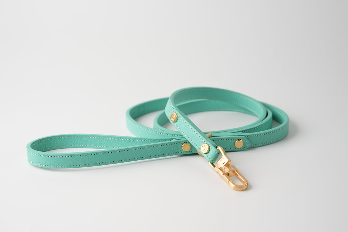 Trevi Leash