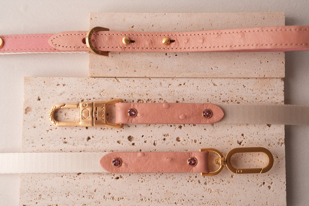 Macaron Leash