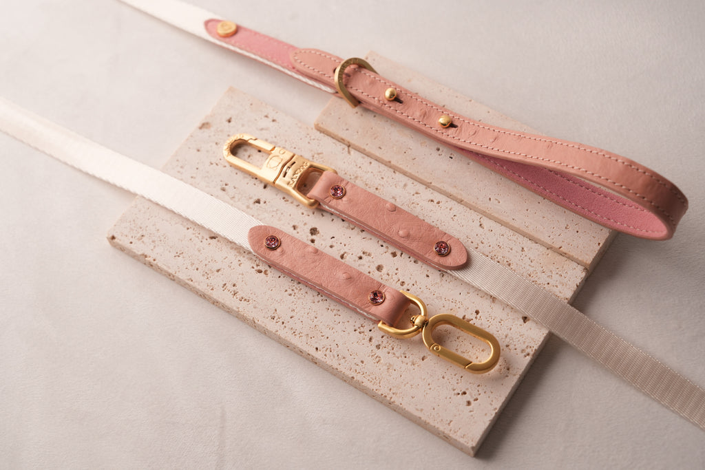Macaron Leash