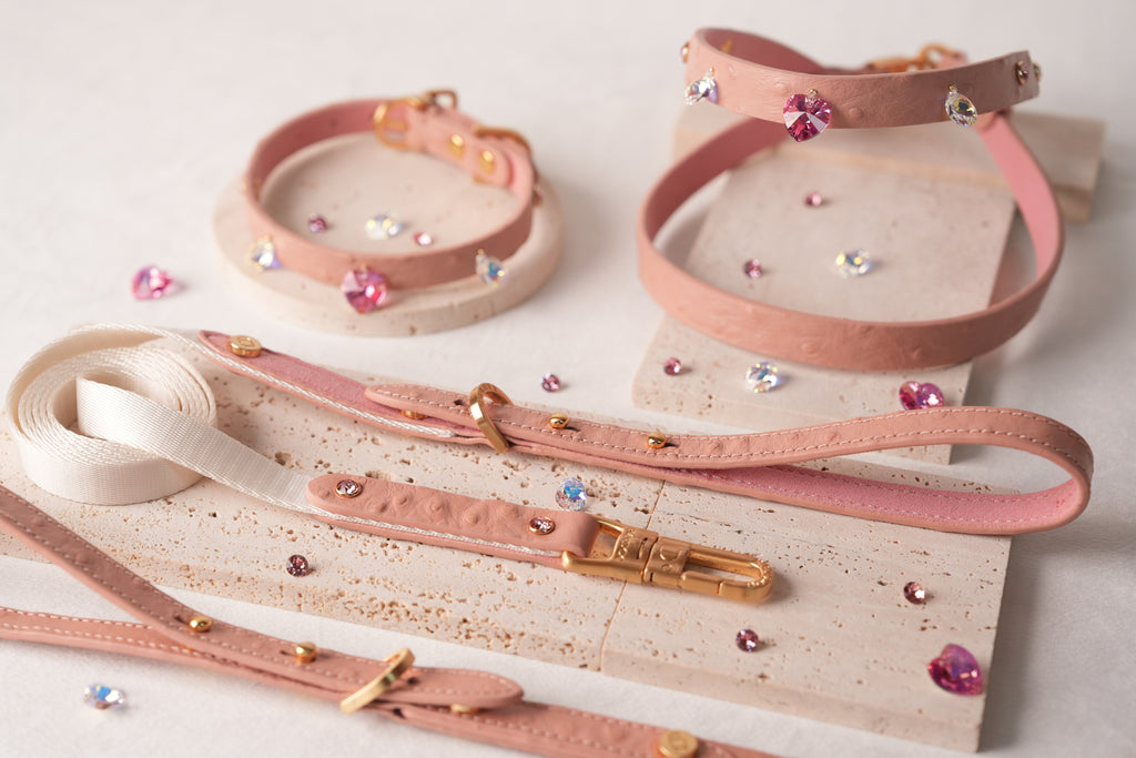 Macaron Leash