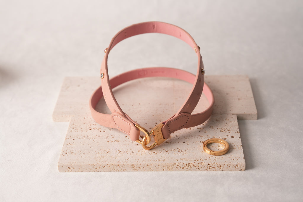 Macaron Harness