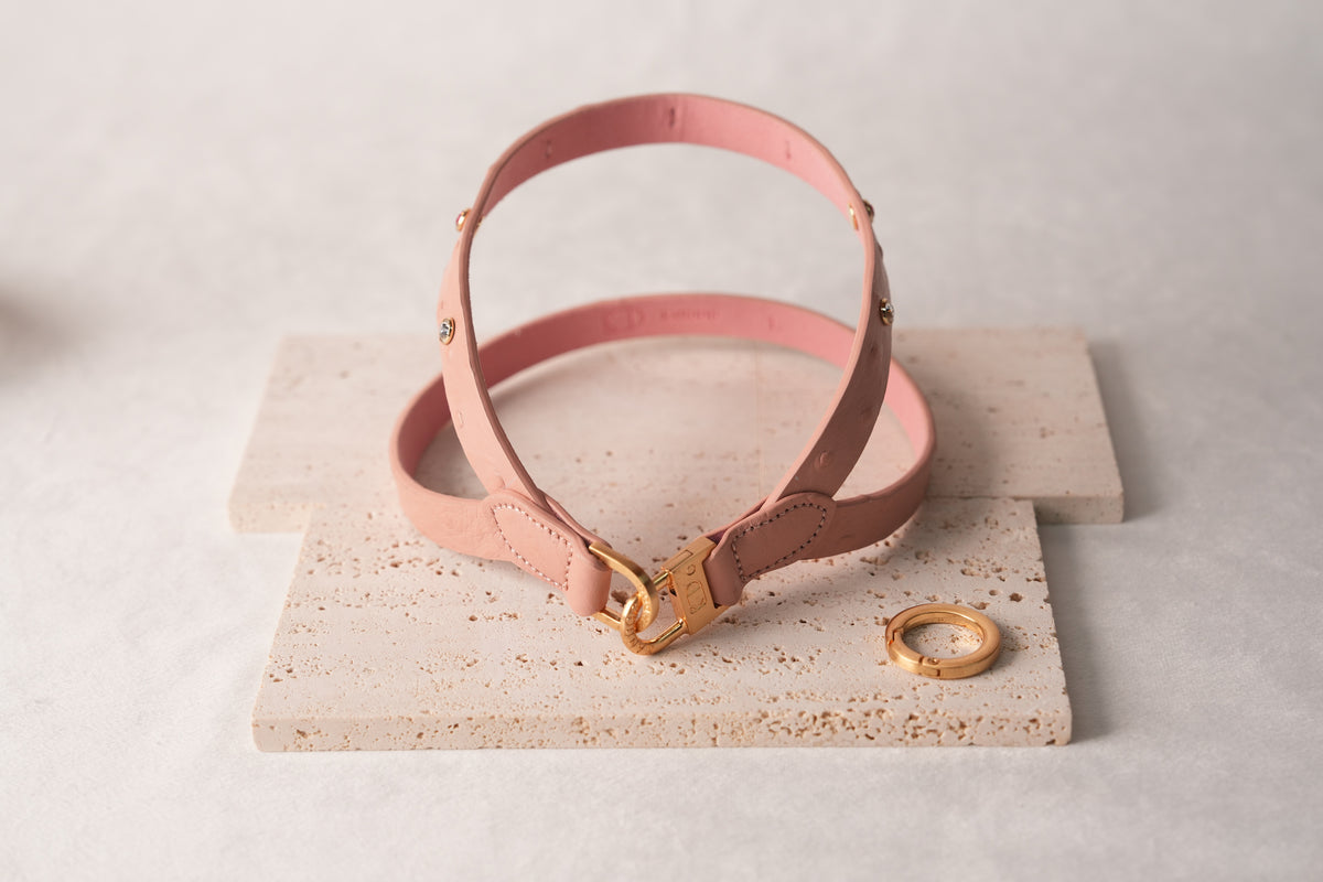 Macaron Harness