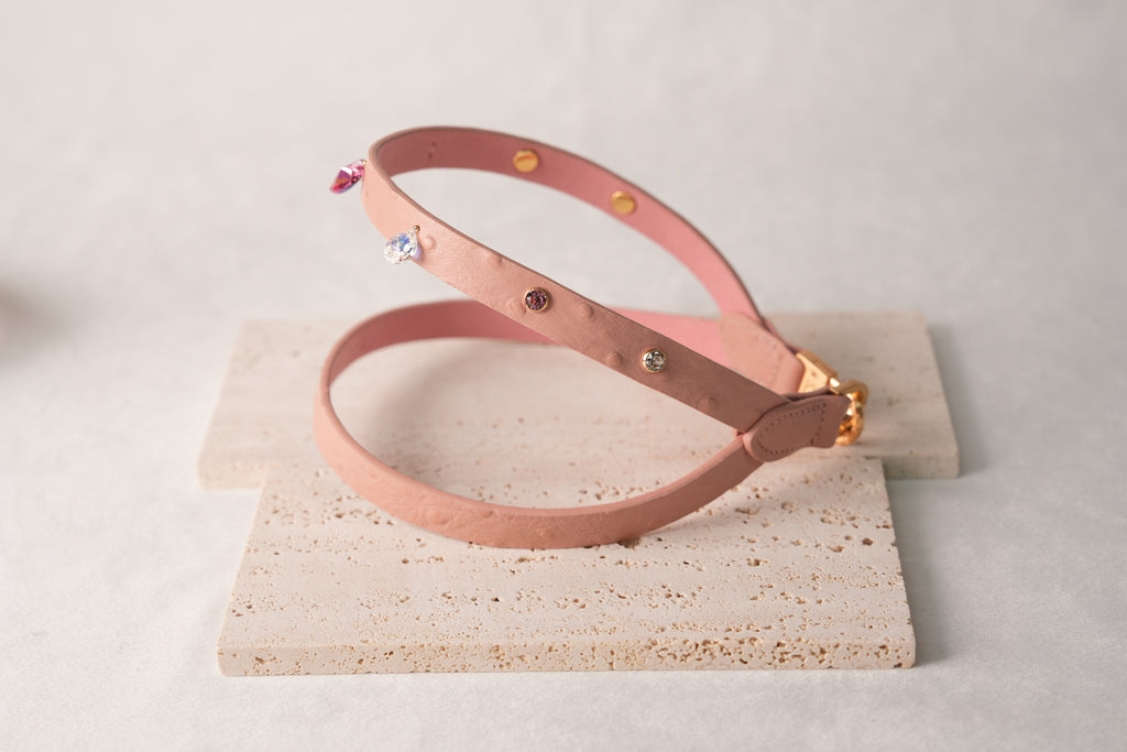 Macaron Harness