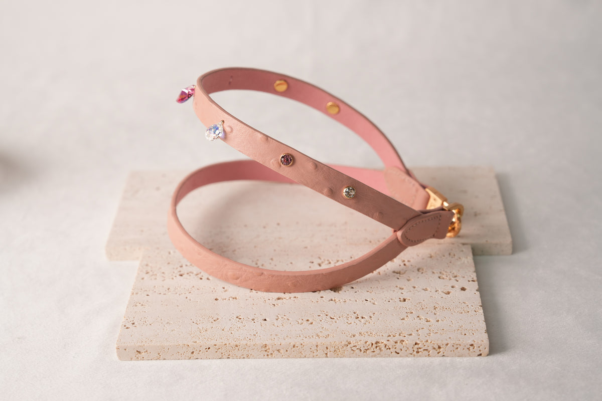 Macaron Harness