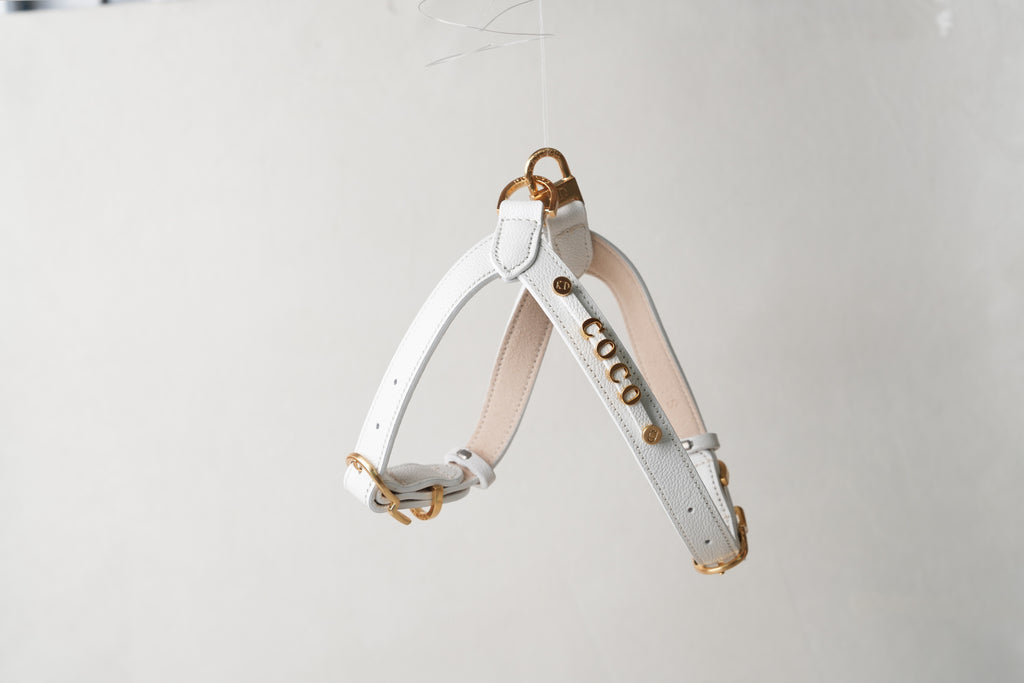 Trevi Harness