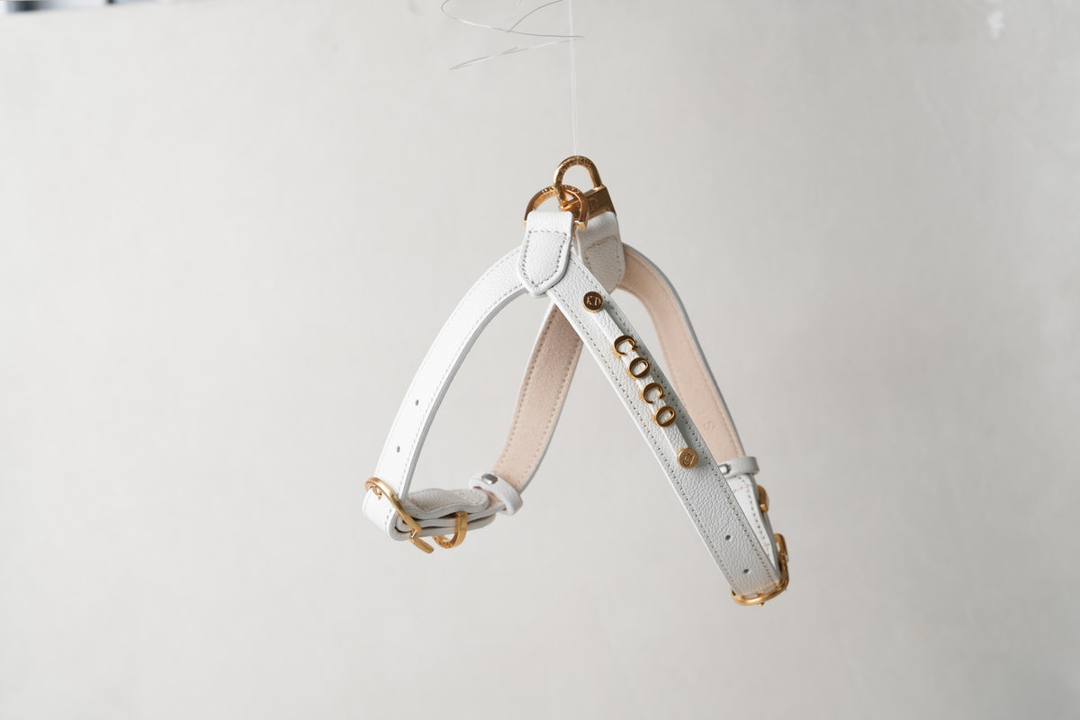 Trevi Harness