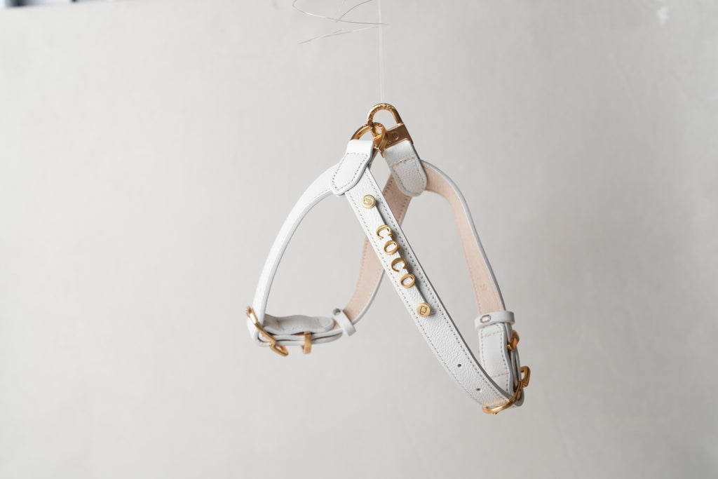 Trevi Harness
