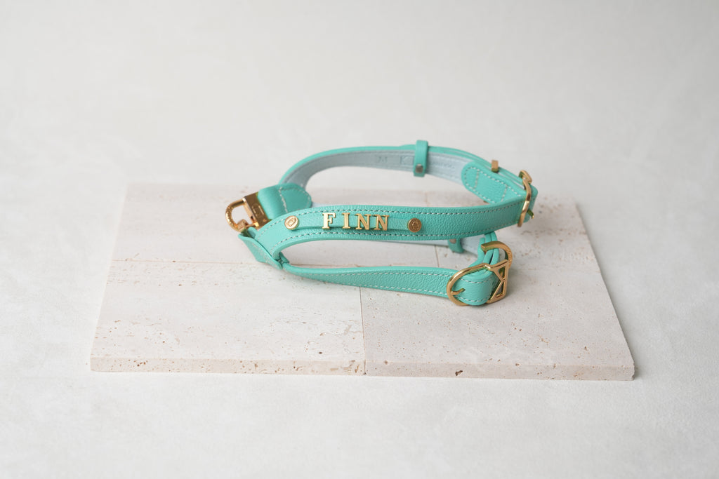 Trevi Harness