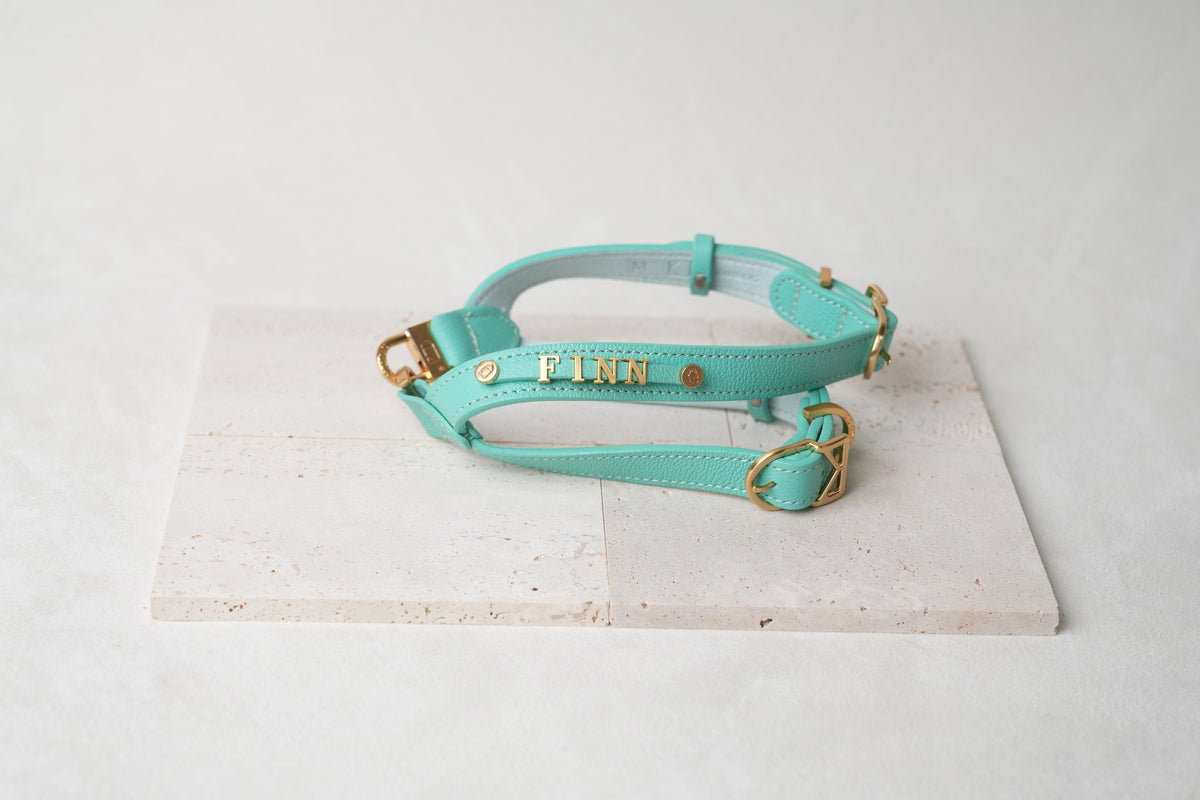 Trevi Harness