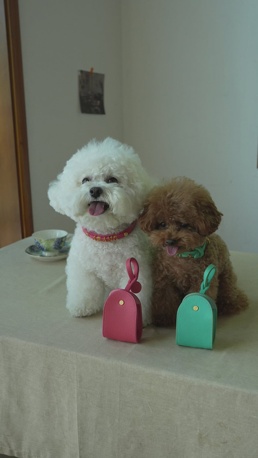 Trevi Poop Bag Pouch